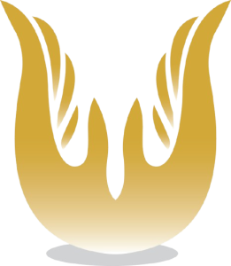 Amco Enterprice Favicon